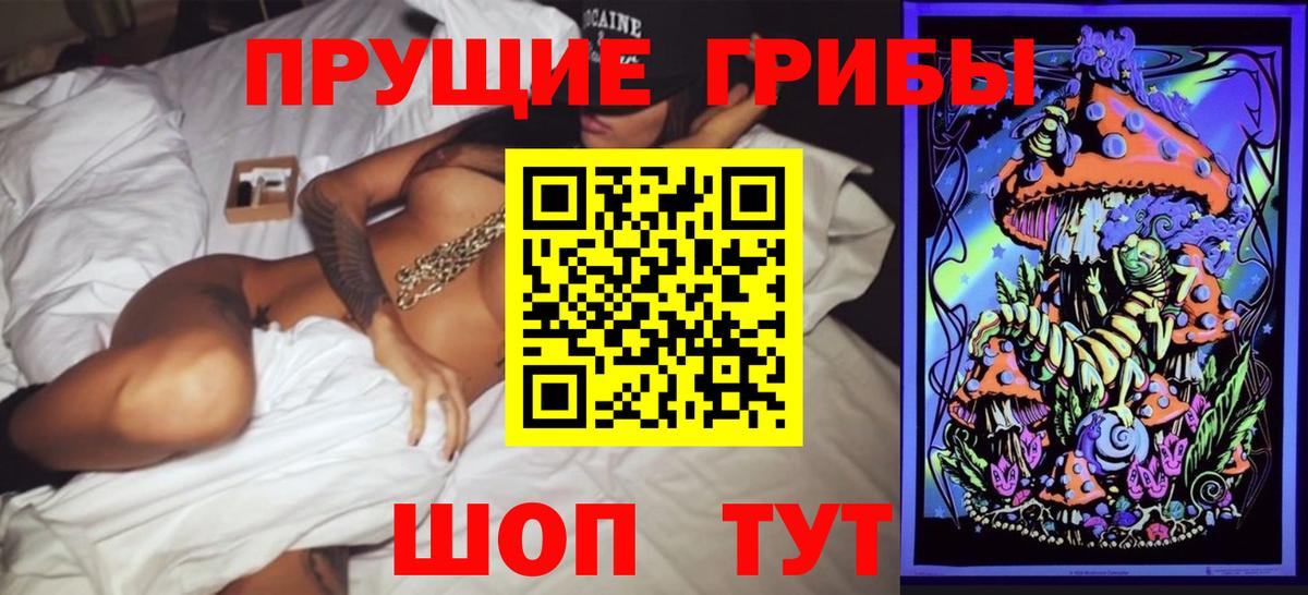 Галлюциногенные грибы Psilocybe  Вход с VPN  Гагарин 