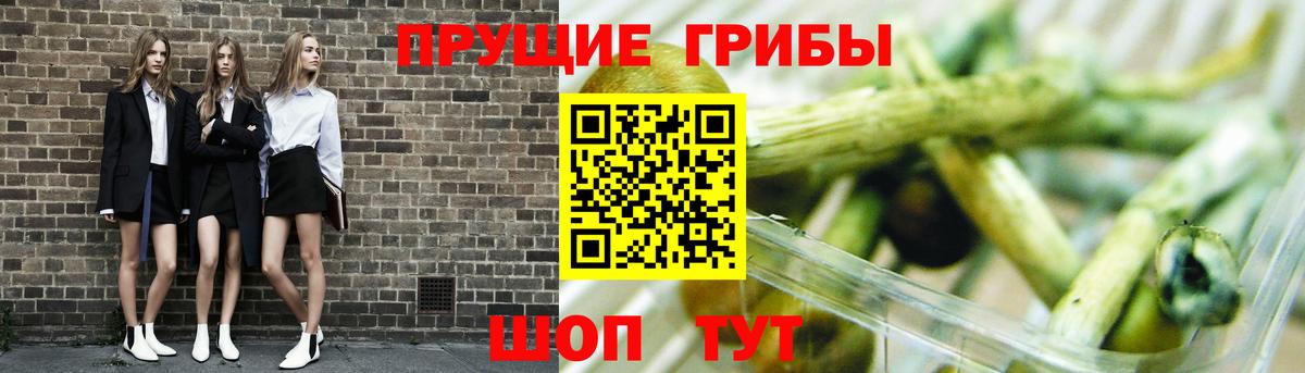 Галлюциногенные грибы GOLDEN TEACHER Гагарин
